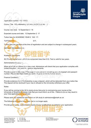 柳橙网成功案列offer展示