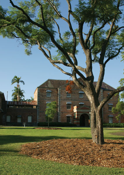 西悉尼大学