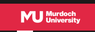 莫道克大学迪拜分校
