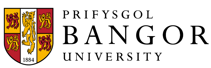 班戈大学国际学院