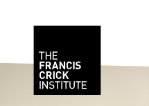 弗朗西斯·克里克研究所