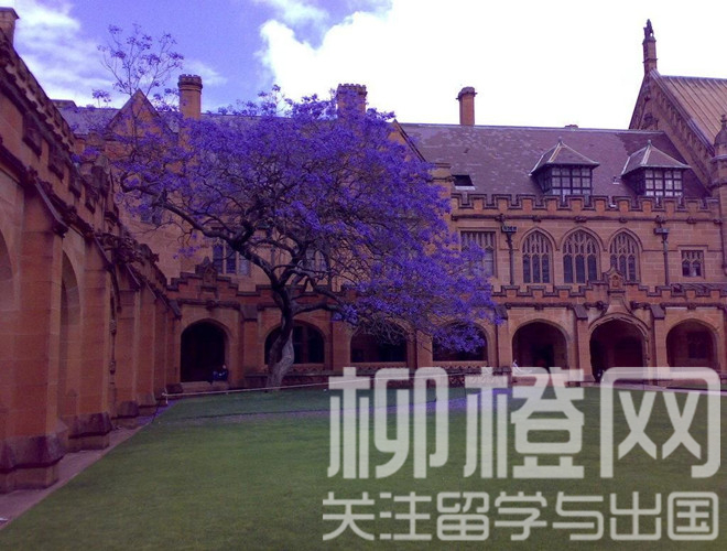 張同學墨爾本大學校園圖片展示